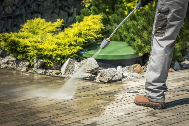 Best Dumpster Area Cleaning  in Rochester, IL