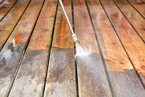 Best Sidewalk and Walkway Cleaning  in Rochester, IL